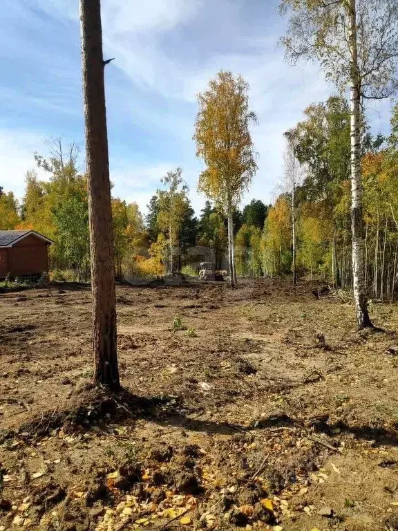 Участок в Иркутская область, Иркутский муниципальный округ, д. ... - Фото 1