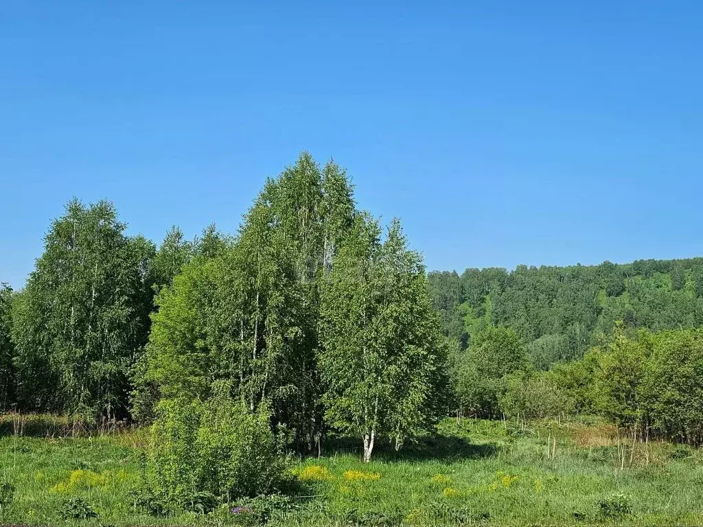 Купить Квартиру В Тальжино Новокузнецкий Район