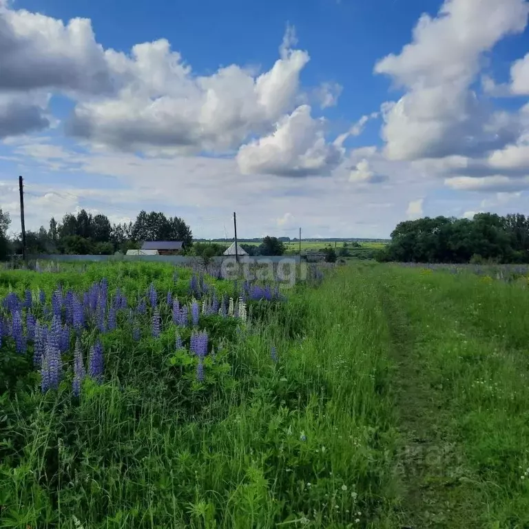 Участок в Калужская область, Село Бабынино с/пос, с. Антопьево ул. ... - Фото 1