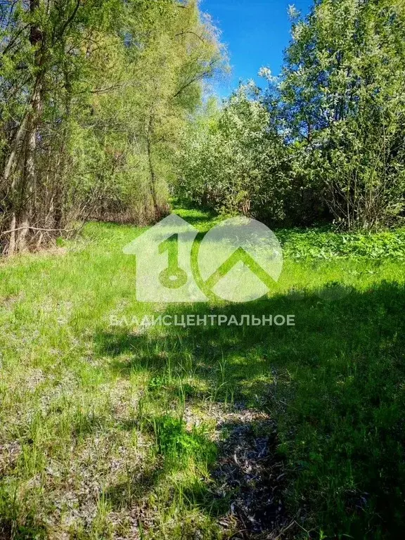 Участок 9,1 сот. (личное подсобное хозяйство (лпх)) - Фото 0
