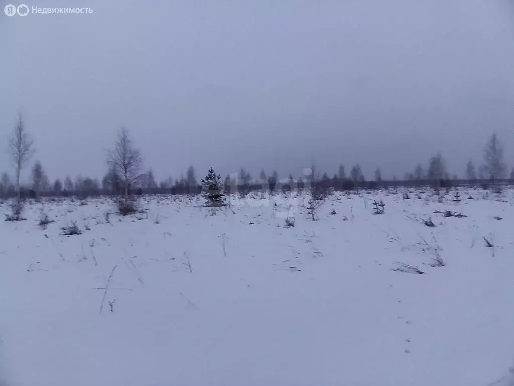 Участок в Республика Марий Эл, городской округ Йошкар-Ола, деревня ... - Фото 1