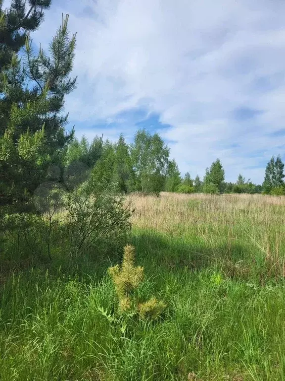 Участок 8,9 сот. (СНТ, ДНП) - Фото 0