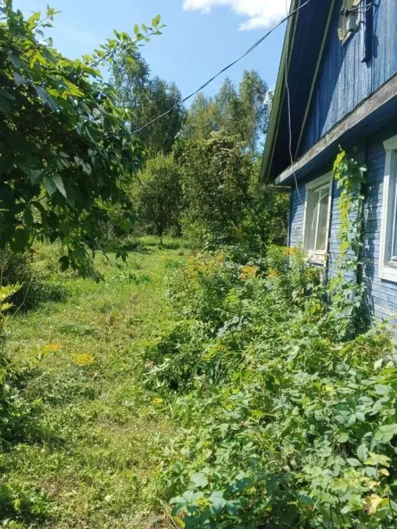 Участок в Нижегородская область, Богородск сад Березка, 145 (1.4 сот.) - Фото 1