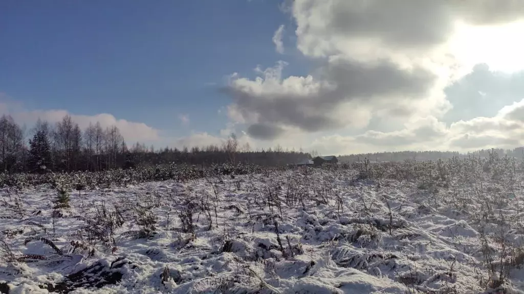 Участок в Московская область, Богородский городской округ, д. Стулово  ... - Фото 2