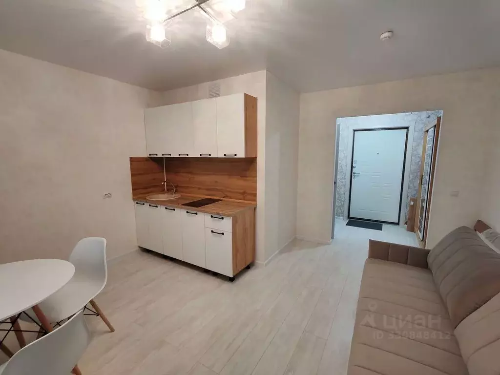 Студия Пермский край, д. Кондратово ул. Г.Н. Нифантова, 3к1 (23.8 м) - Фото 1
