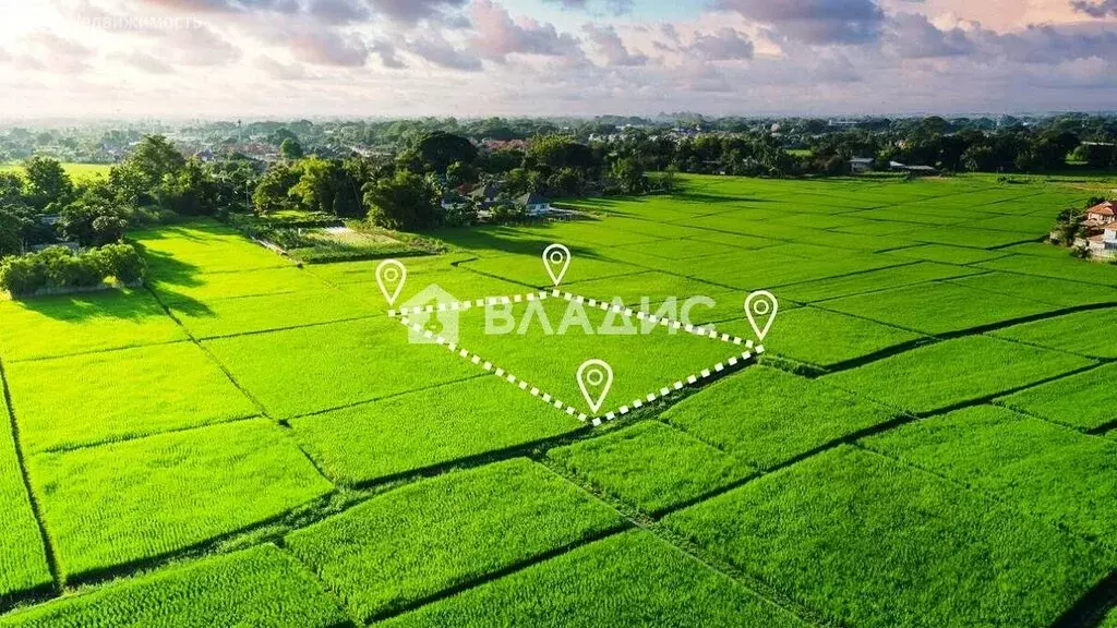 Участок в Ленинградская область, Гатчинский муниципальный округ, КП ... - Фото 1