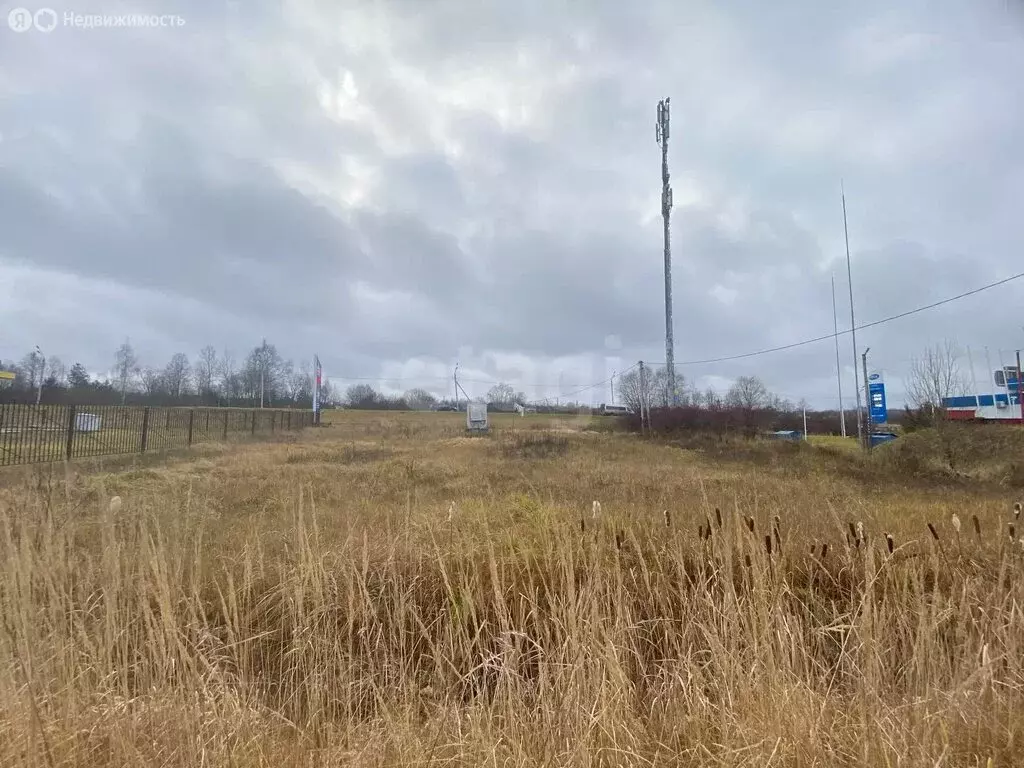 Участок в Костромская область, Волгореченск (9.5 м) - Фото 2