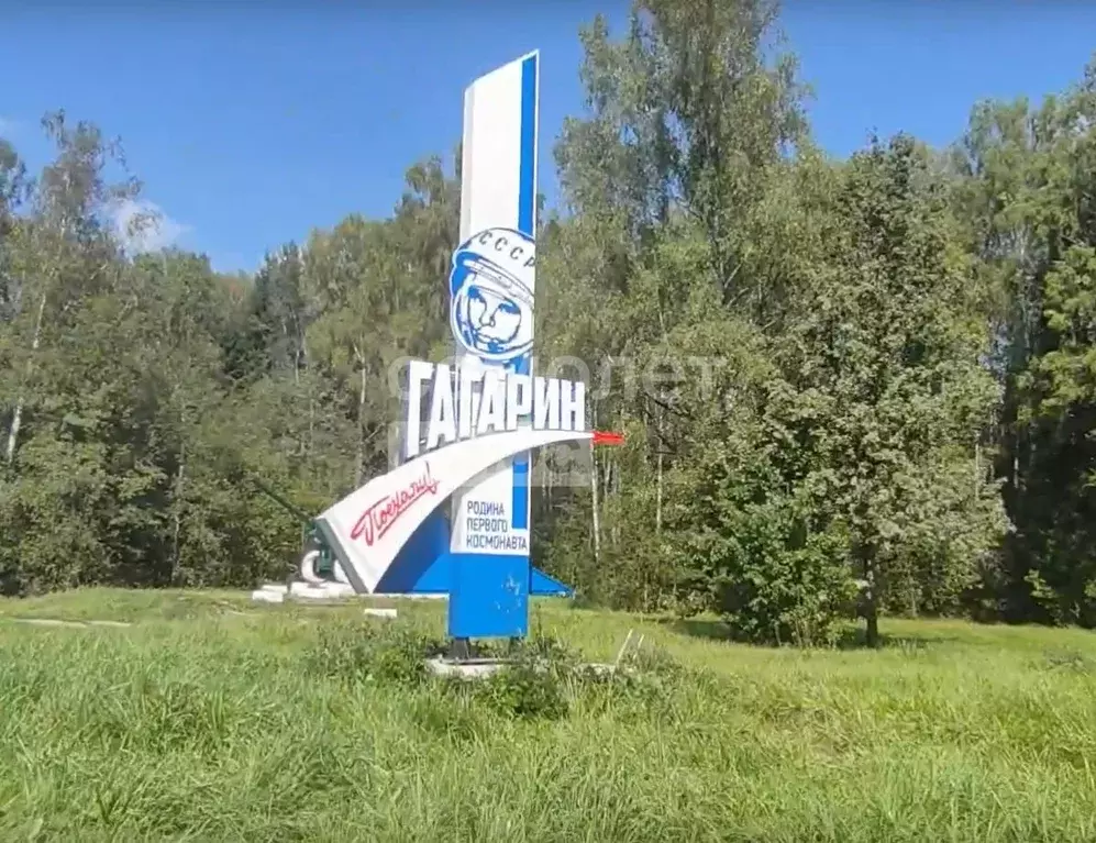 Участок в Смоленская область, Гагаринский муниципальный округ, д. ... - Фото 2