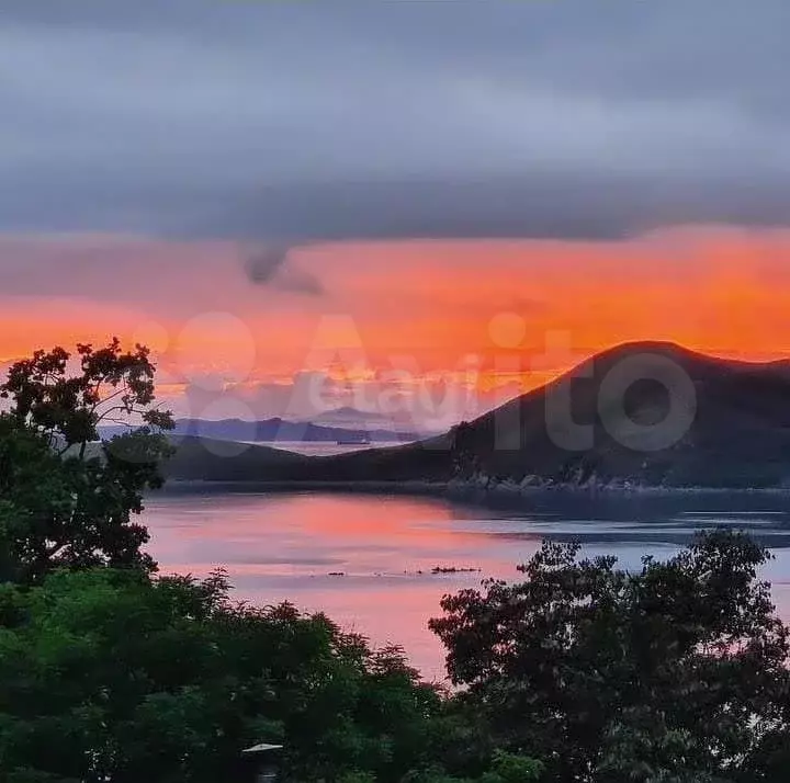 Продам помещение свободного назначения, 55.9 м - Фото 0