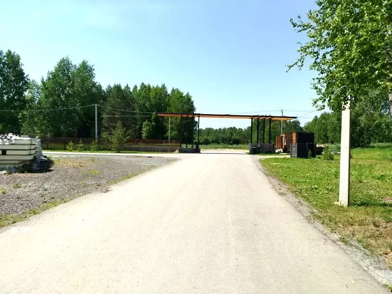 Участок в Новосибирская область, Новосибирский район, Кудряшовский ... - Фото 1