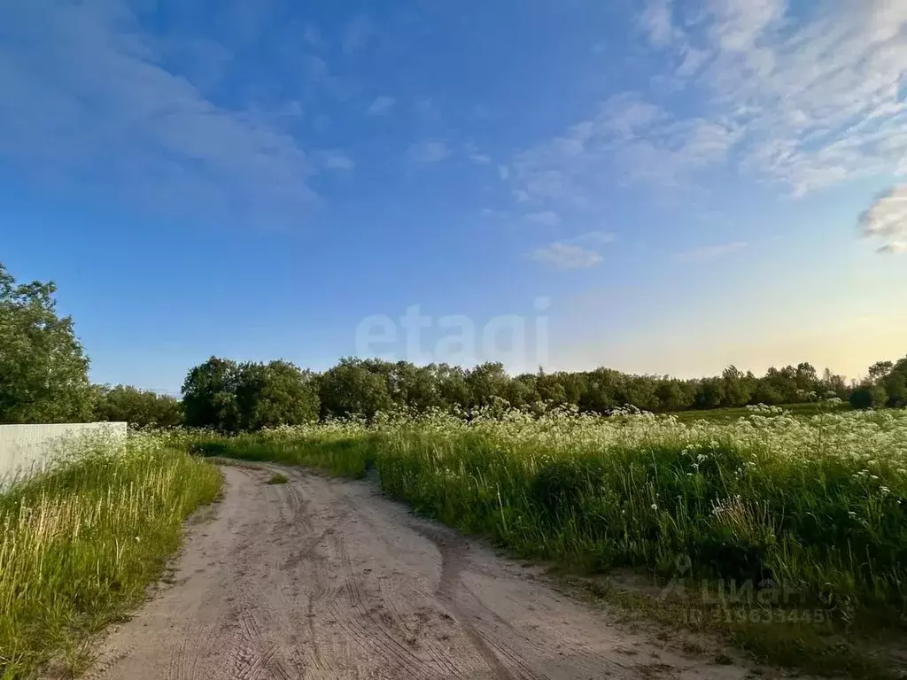 Участок в Архангельская область, Приморский муниципальный округ, д. ... - Фото 1