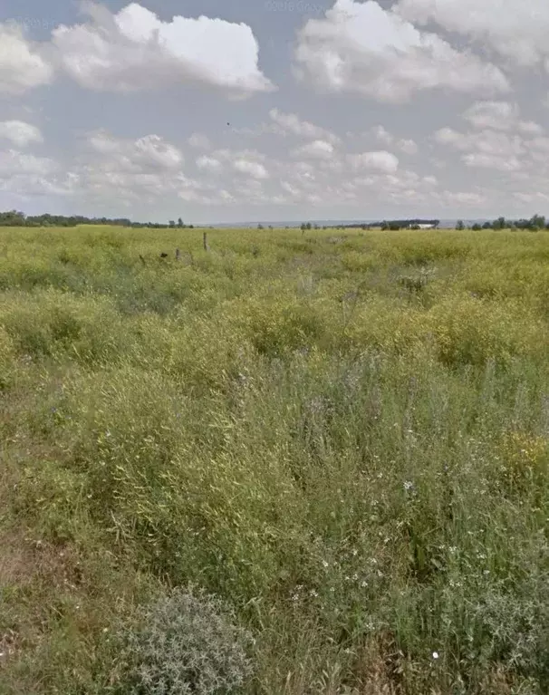 Участок в Карачаево-Черкесия, Псыж аул ул. Братьев Кишмаховых (10.0 ... - Фото 2