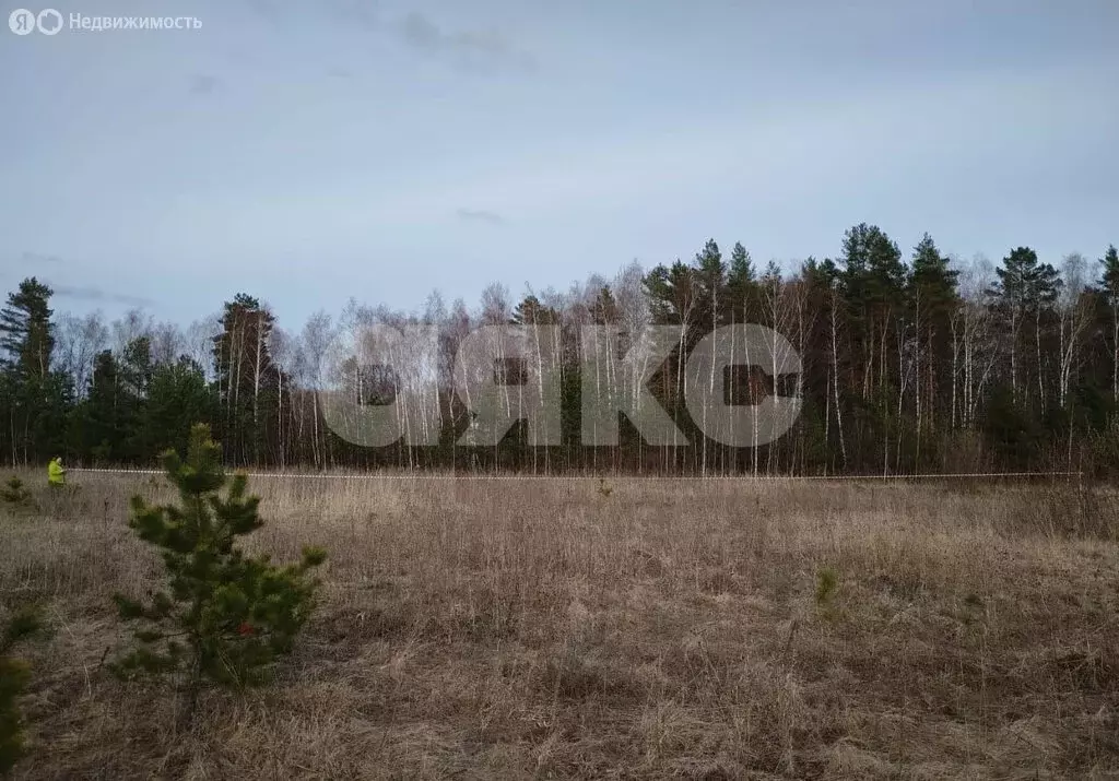 Участок в Тульская область, городской округ Алексин, село Бунырево (10 ... - Фото 1