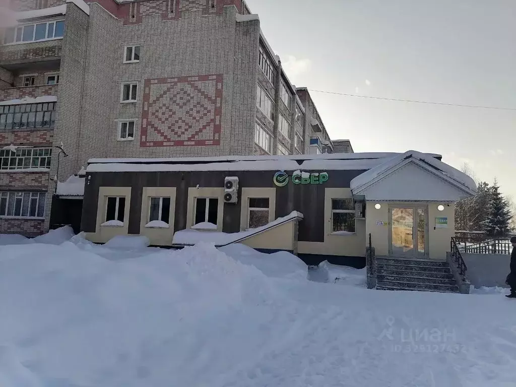 Помещение свободного назначения в Марий Эл, Новый Торъял пгт ул. ... - Фото 1