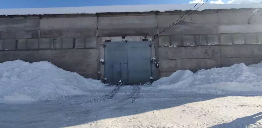 Склад в Пензенская область, Пенза ул. Литвинова, 40к1 (432 м) - Фото 1