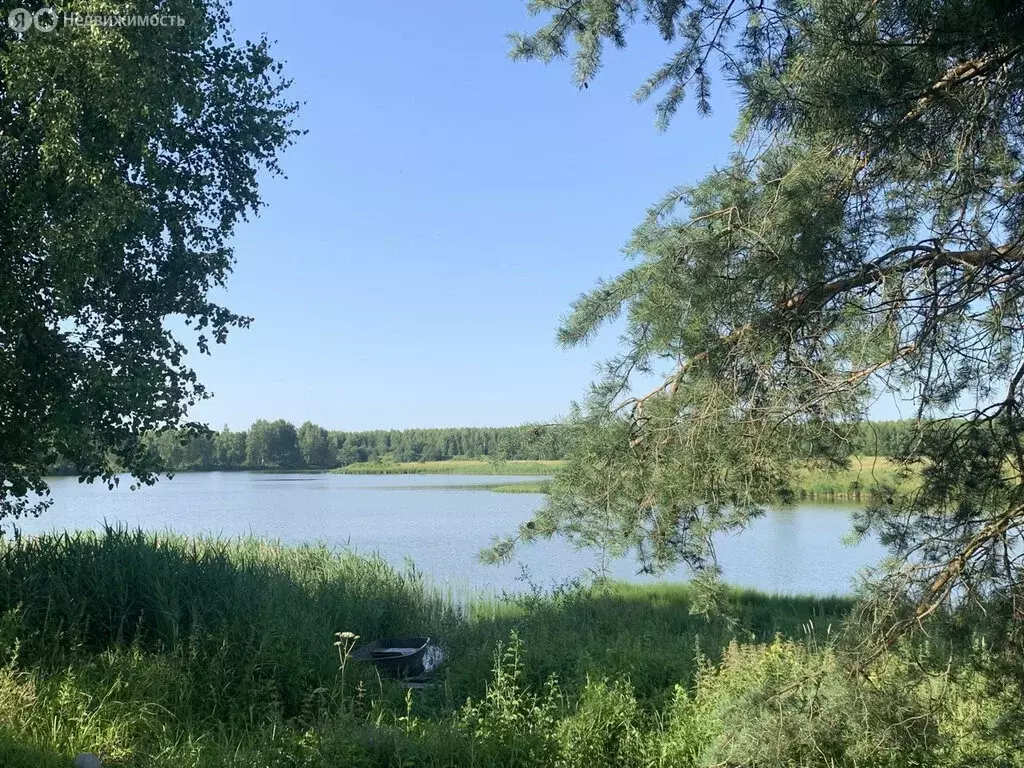 Участок в село Чёрная Заводь, улица Сарафоново, 5 (22 м) - Фото 1