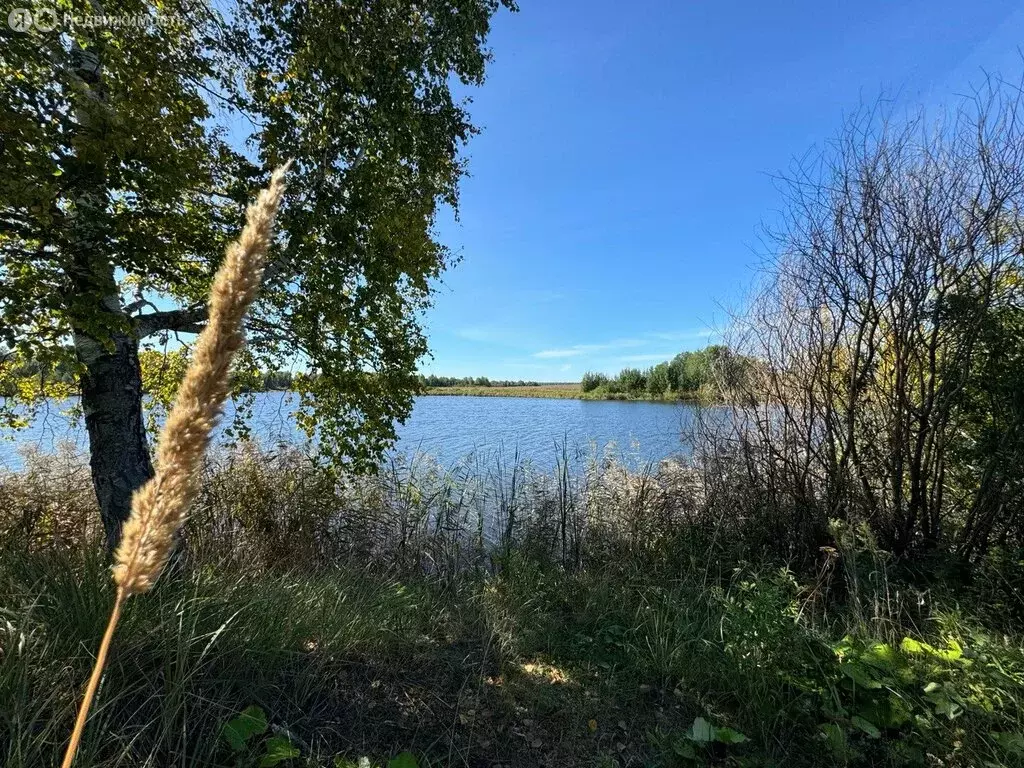 Участок в Тюменский муниципальный округ, деревня Большие Акияры (8 м) - Фото 2