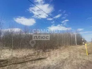 Участок в Марий Эл, Йошкар-Ола городской округ, д. Шоя-Кузнецово ул. ... - Фото 0