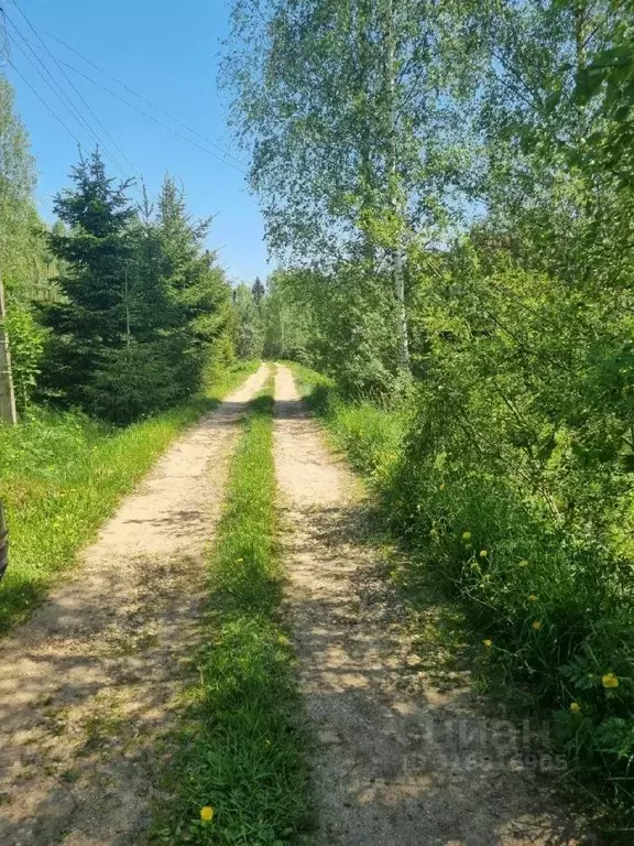 Дом в Московская область, Рузский муниципальный округ, д. Потапово, д. ... - Фото 0