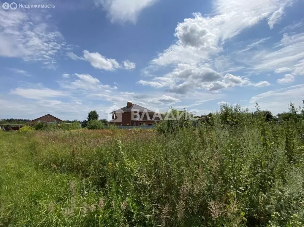 Участок в Нижегородская область, Богородский муниципальный округ, ... - Фото 2