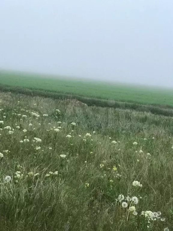 Участок 60 га (СНТ, ДНП) - Фото 0