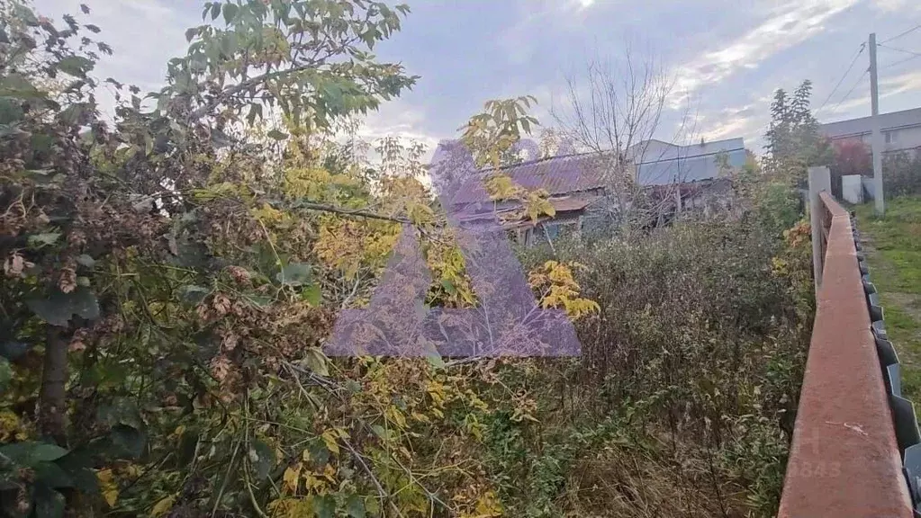 Участок в Алтайский край, Барнаул Фиалка СНТ, ул. Власихинская, 67А/12 ... - Фото 1