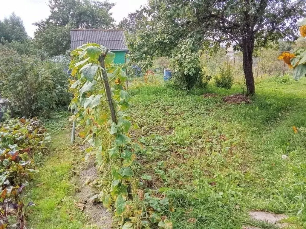 Участок в Чувашия, Шумерля Химик-1 СДТ,  (6.41 сот.) - Фото 1