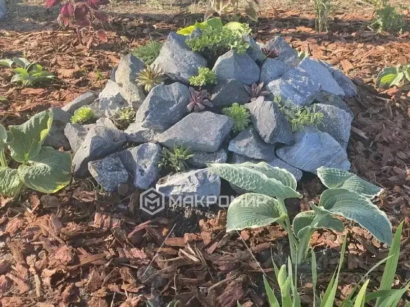 Участок в Новосибирская область, Ордынский район, Локомотив Ордынский ... - Фото 1