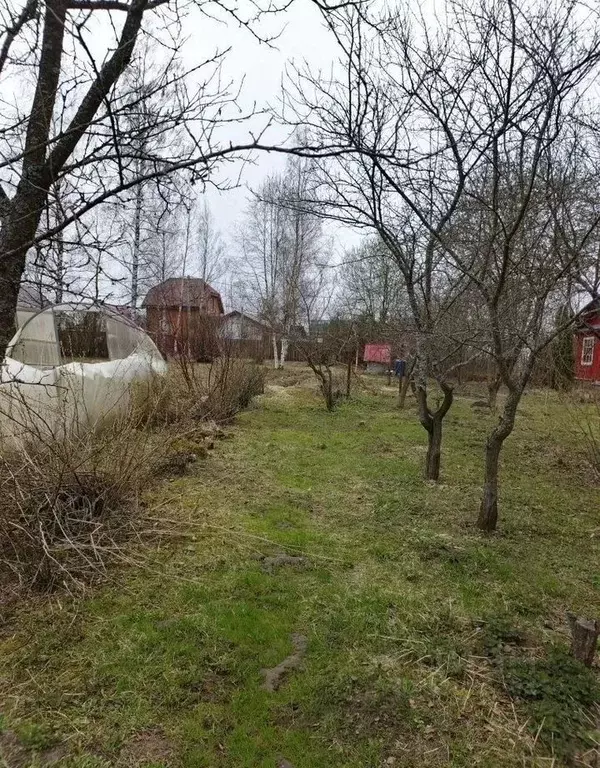 Участок в Московская область, Воскресенск городской округ, д. ... - Фото 1