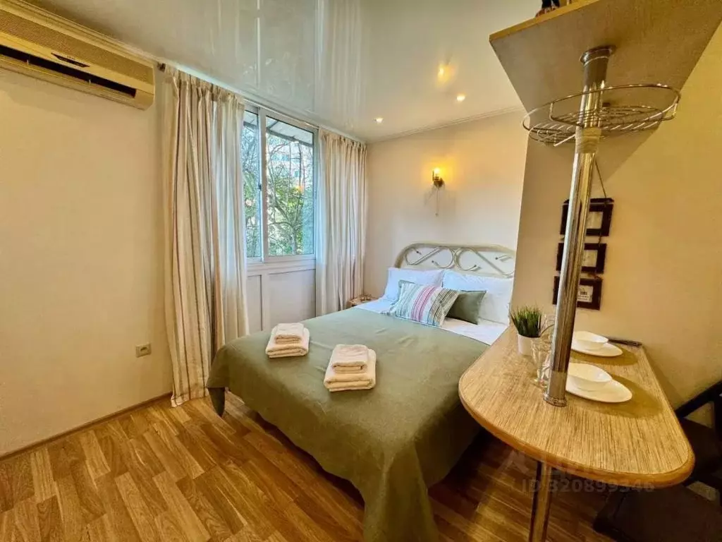 1-к кв. Краснодарский край, Сочи Центральный мкр, ул. Нагорная, 12 ... - Фото 2