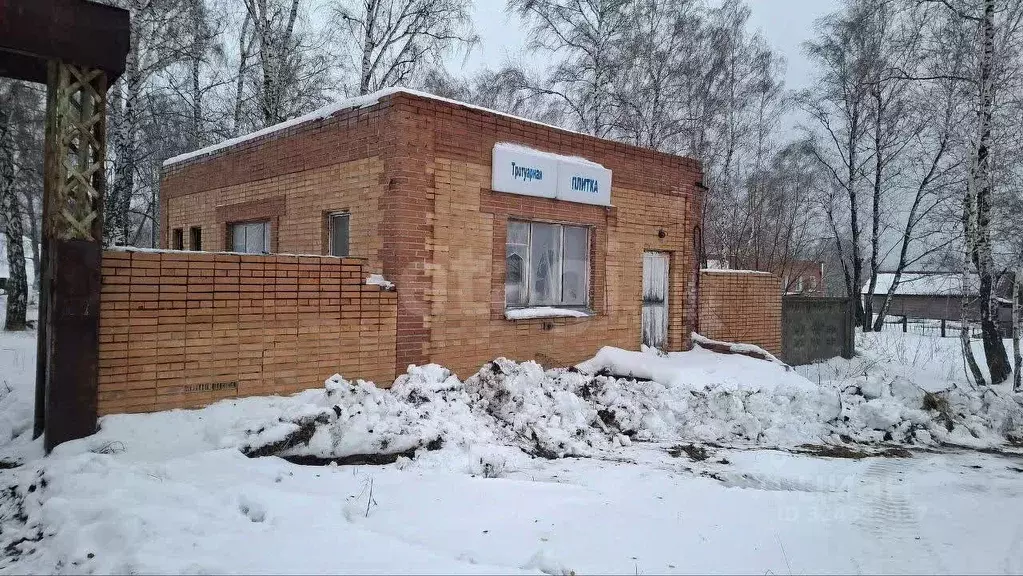 Помещение свободного назначения в Новосибирская область, Ордынский ... - Фото 1