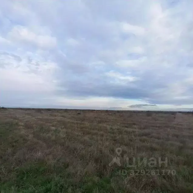 Участок в Крым, Бахчисарайский район, с. Песчаное ул. Бассейная, 7А ... - Фото 2
