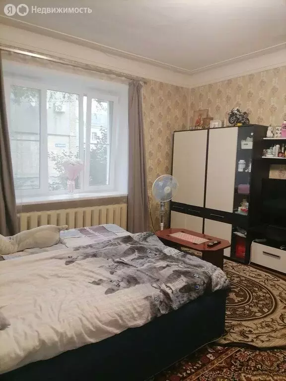 1-комнатная квартира: Нижний Новгород, Замкнутая улица, 24 (28.2 м) - Фото 1
