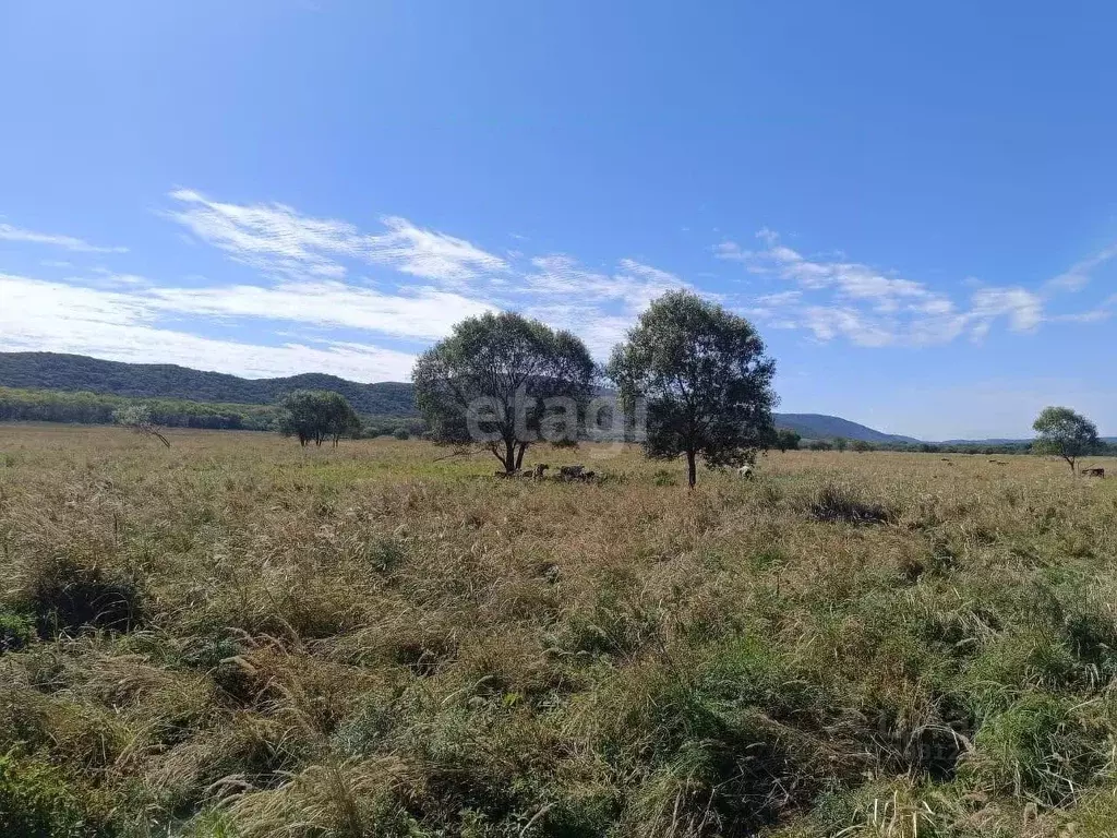 Участок в Приморский край, Партизанский городской округ, с. Серебряное ... - Фото 1