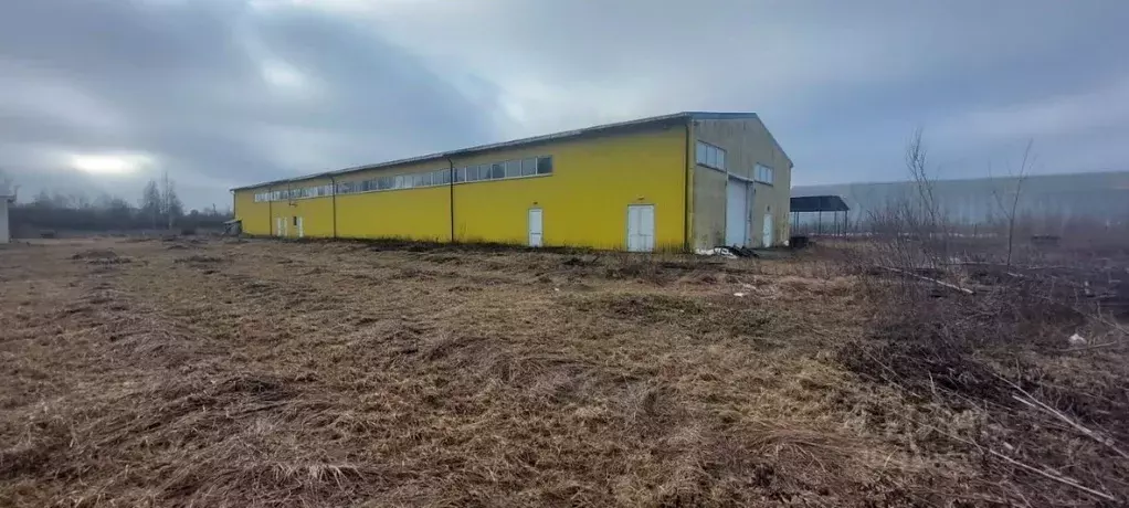 Производственное помещение в Владимирская область, Лакинск г. ... - Фото 1