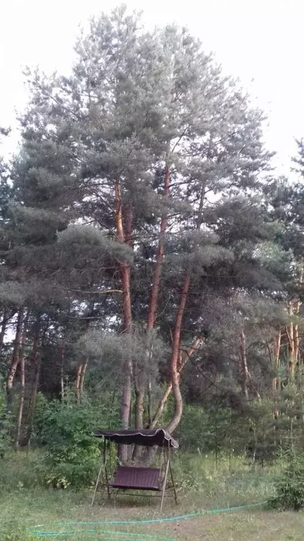 Дом в Белгородская область, Шебекинский городской округ, с. Безлюдовка ... - Фото 0