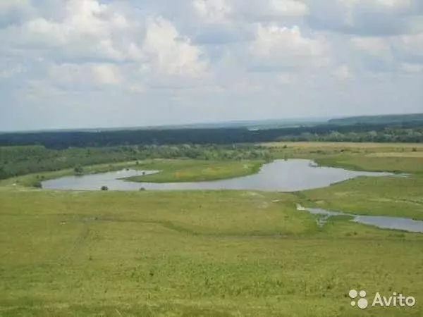 Озеро Тишино Деревня Ягодное Пильнинский Район Фотографии