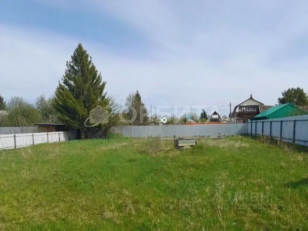 Участок в Тюменская область, Тюмень Садовое товарищество Липовый ... - Фото 2