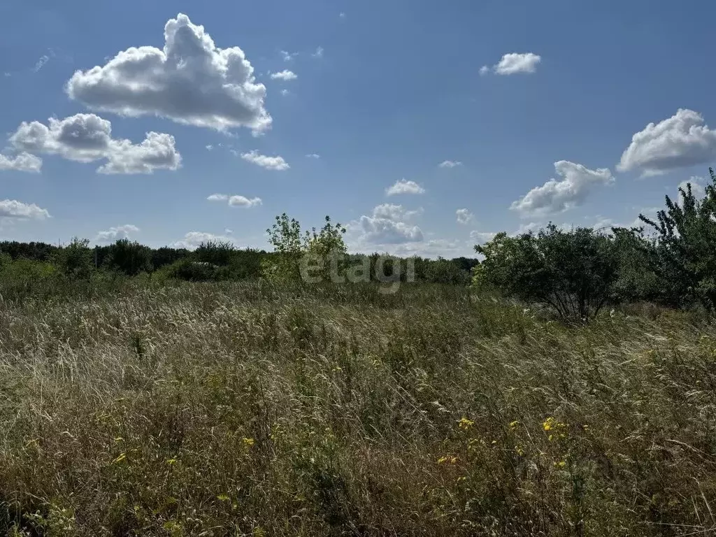 Участок в Белгородская область, Белгородский район, Бессоновское ... - Фото 1