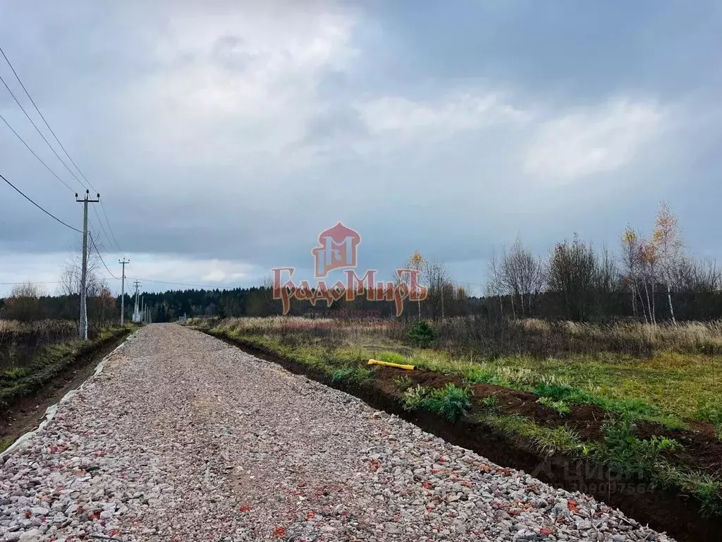 Участок в Владимирская область, Александровский район, Андреевское ... - Фото 0