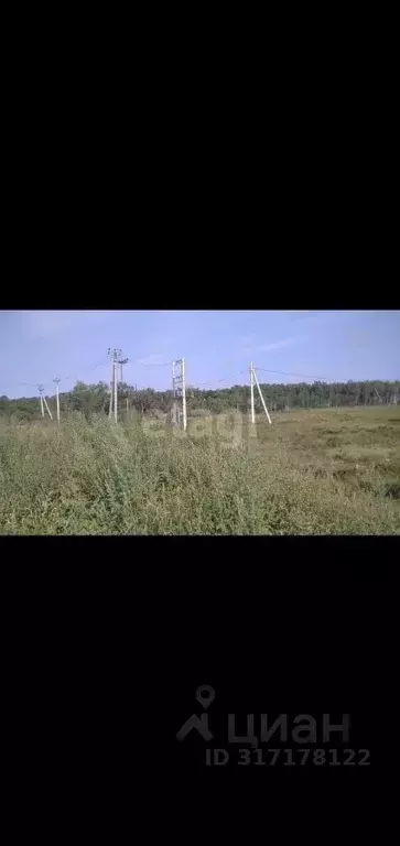 Участок в Амурская область, Благовещенский район, с. Чигири  (15.0 ... - Фото 0