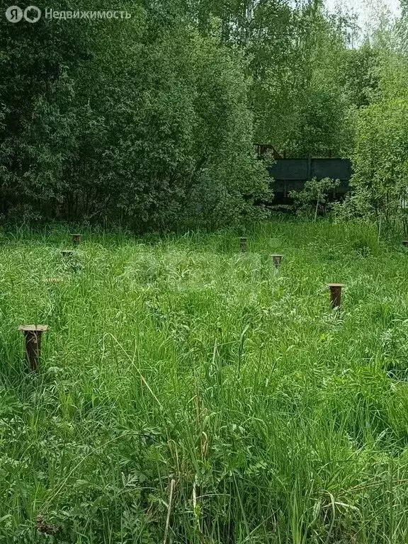 Участок в Ярославская область, Некрасовский муниципальный округ, ... - Фото 2