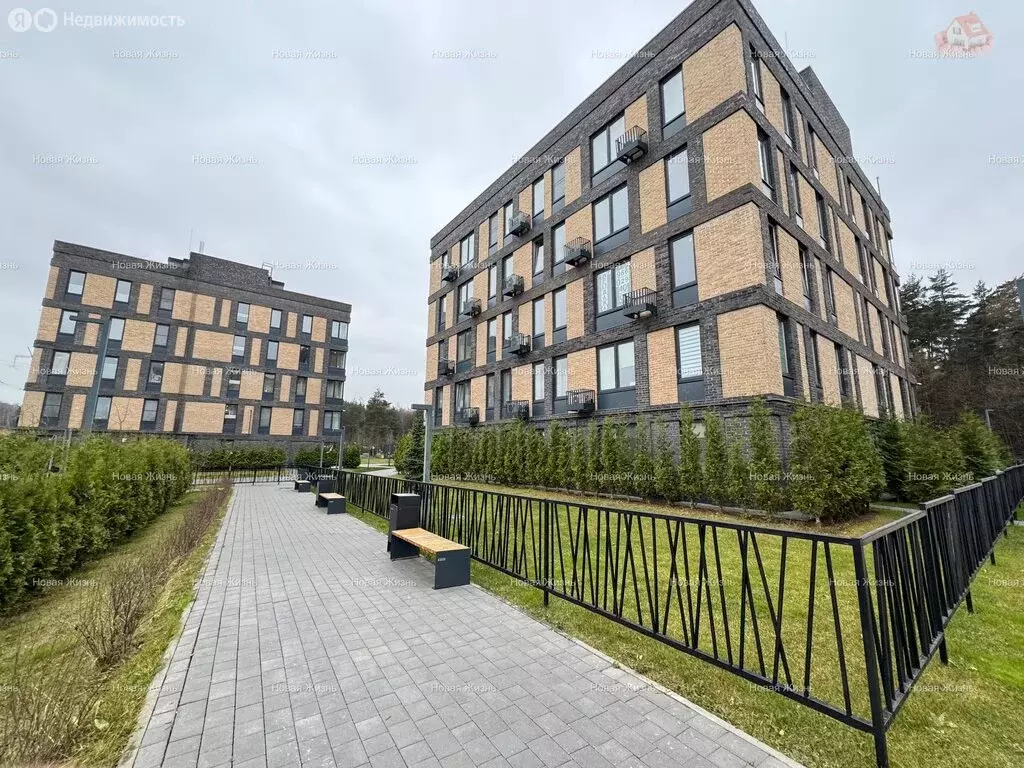 3-комнатная квартира: Суханово, жилой комплекс Суханово Парк, Парковая ... - Фото 2