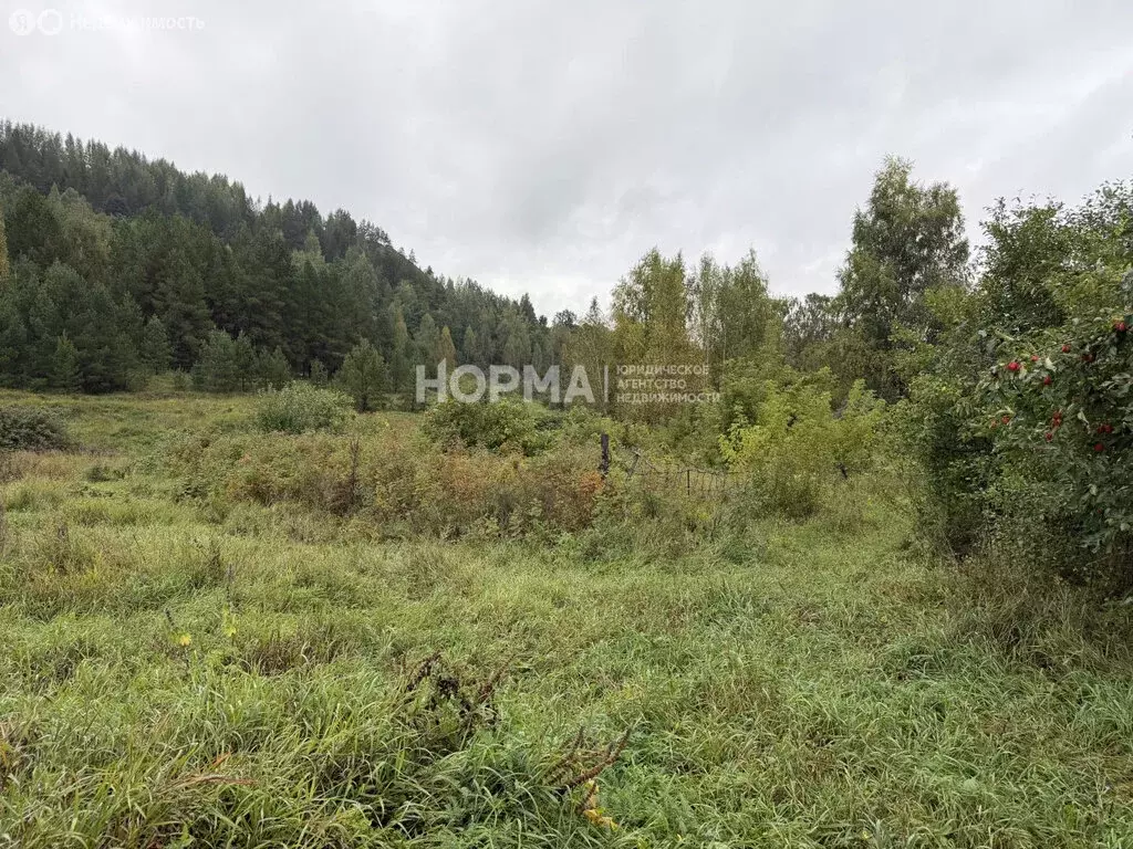Участок в село Новое Барятино, Солнечная улица, 38 (10 м) - Фото 1