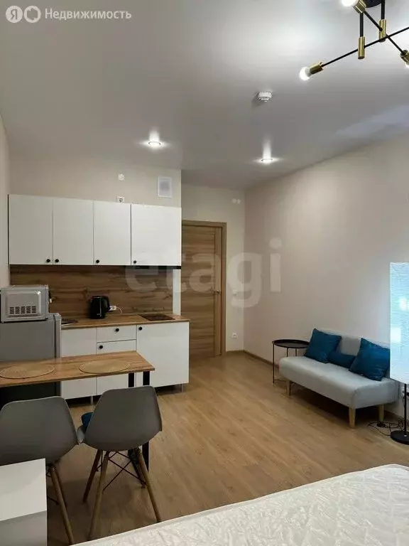 Квартира-студия: деревня Кондратово, Водопроводная улица, 1 (26.4 м) - Фото 2