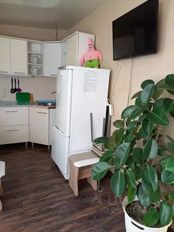 Дом в Краснодарский край, Анапа муниципальный округ, с. Витязево ул. ... - Фото 2