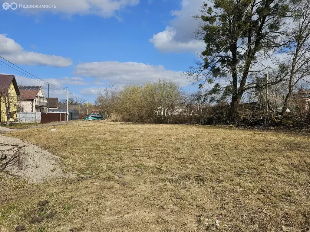 Участок в Калининград, СНТ Заря, Ореховая улица (7 м) - Фото 1