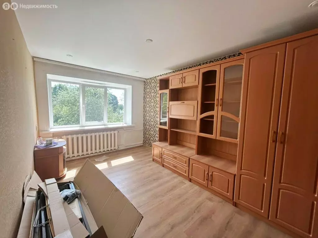 1-комнатная квартира: Зендиково, Строительная улица, 1 (27.5 м) - Фото 0