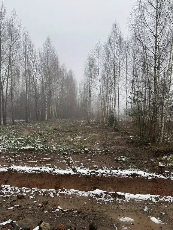 Участок в Новгородская область, Новгородский район, Бронницкое с/пос, ... - Фото 0