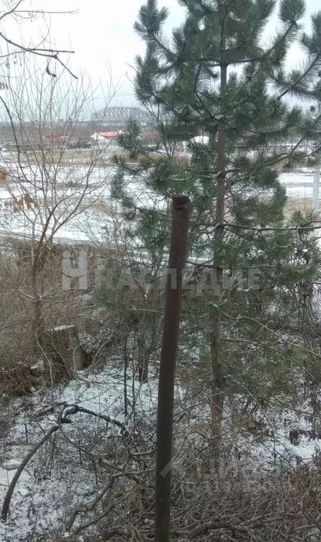 Участок в Ростовская область, Каменск-Шахтинский Коммунистический ... - Фото 1
